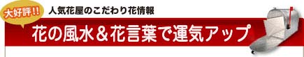花ギフト