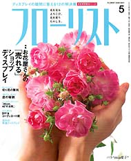 花ギフト　胡蝶蘭|花束|スタンド花|花屋