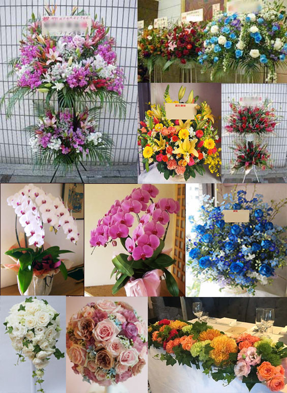 貸し会議室・レンタルスペースにスタンド花など花ギフトをお届け!花ギフト、フラワーギフトを全国宅配!!|日経新聞「宅配花束ランキング」全国3位に選ばれました!レンタルスペース・貸し会議室へスタンド花や胡蝶蘭、花束などフラワーギフトのお届け承ります。|平沼記念レストハウス ビジョンセンター横浜 NATULUCK関内セルテ アットビジネスセンター横浜西口駅前 横浜新都市ビル(そごう横浜店)9階 新都市ホール・ミーティングルーム ハロー貸会議室新横浜 リロの会議室「関内横浜スタジアム前」 スタンダード会議室 新横浜店 MYS横浜駅西口 X-FLOOR 川崎 マホロバマインズ三浦 八洲学園大学(貸会議室) ホテルウィングインターナショナル相模原 『スマートレンタルスペース』belle関内601 横浜コンファレンスホール I.S.O横浜 東武横浜第3ビル 貸会議室 川崎市男女共同参画センター(すくらむ21) Cocco Terrace(ココテラス)湘南 TKPガーデンシティPREMIUM横浜ランドマークタワー コートホテル新横浜 AP横浜駅西口 ホテルKSP アットホームセミナールーム 横浜YWCA会館 福祉保健研修交流センターウィリング横浜 アンクロートスペースYOKOHAMA 株式会社シアル貸し会議室 リッチモンドホテルプレミア武蔵小杉 ラジオ日本ラジアントホール・会議室 T’s 横浜パシフィック 日石横浜ビル TKPガーデンシティ横浜 イオンシネマみなとみらい 加瀬の貸し会議室 アットビジネスセンター横浜関内 交流スペース ココファン横浜鶴見 ホテルメルパルク横浜 海老名コワーキングスペース ROLE JFACe貸し会議室・研修センター 市川市文化会館 マイステイズ新浦安コンファレンスセンター 貸し会議室グッドスペース 行徳文化ホールI&I 松戸シティホテルSENDAN-YA 山崎製パン企業年金基金会館 ハロー貸会議室 柏の葉カンファレンスセンター 千葉スカイウインドウズ東天紅 TKPガーデンシティ千葉 CHIBA CONFERENCE CENTER セミナーハウス クロス・ウェーブ幕張 サミットレンタルスペース ホテル一宮シーサイドオーツカ フォークアートサロン 幕張セミナーハウス NATULUCK大宮東口店 NATULUCK川口駅前 川越プリンスホテル TKP大宮駅西口カンファレンスセンター HOTEL HOUSEN AMG学習館 ITOビル 貸し会議室・貸し教室 埼玉県県民活動総合センター 貸会議室 ユーズ・ツウ 大阪府立国際会議場(グランキューブ大阪) AP貸会議室.net オーバルホール・毎日インテシオ会議室 CIVI貸し会議室【大阪・新大阪】 ガーデンシティクラブ大阪 セミナーハウス クロス・ウェーブ梅田 グランフロント大阪ナレッジキャピタル 大阪・梅田のTKP会議室 國民會館 武藤記念ホール 貸会議室 【 関電プロパティーズ 】 梅田スカイビル 貸会議室・イベントホール クリスタルタワー 貸会議室 新大阪ブリックビル 貸会議室 つるやホール 新大阪丸ビル別館 貸会議室 難波御堂筋ホール JEC日本研修センター SCC 三宮コンベンションセンター JEC日本研修センター スペースアルファ三宮 株式会社ニチイ学館 神戸ポートアイランドセンター 三田ホテル 神戸市産業振興センター 貸し会議室 神戸プラザホテル エコーペットビジネス総合学院 オフィスゴコマチ 会議室|花配達 花宅配 花贈る 花通販|近く 花屋|花屋 おすすめ|花 持ち込み|喜ばれる花の贈り物。花配達 花宅配 お届け商品:花束|ブーケ|スタンド花|スタンドフラワー|胡蝶蘭|アレンジメント|観葉植物|お花の定期便|ウエディングブーケ|ブライダルブーケ|プリザーブドフラワー|お祝い 誕生日 お見舞い|結婚祝い|スタンドフラワー|フラスタ|祝花|誕生日祝い|花束|宅配|配達|贈る|送る|イベント|パーティー|定期便|頒布会|アレンジメント|プリザーブドフラワー|観葉植物|卒業祝い|退職祝い|栄転祝い|送別祝い|独立開業|開院祝い|事務所移転|記念日|コンサート|ライブ|周年|昇進|個展|演劇|公演|還暦|喜寿|傘寿|米寿|レストラン|二次会|居酒屋|プレゼント|バースデー|当選祝い|祝い花